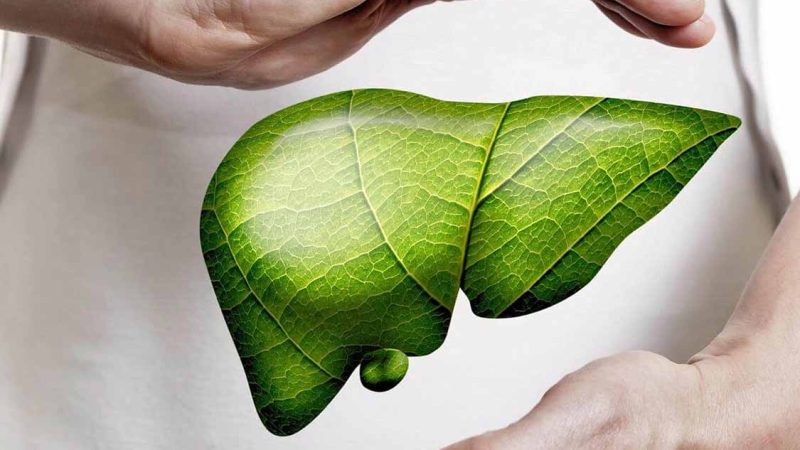 Gras, veillées tardives, goût prononcé, les toxines contre-attaquent discrètement : un signal que le corps a hâte de se nettoyer.