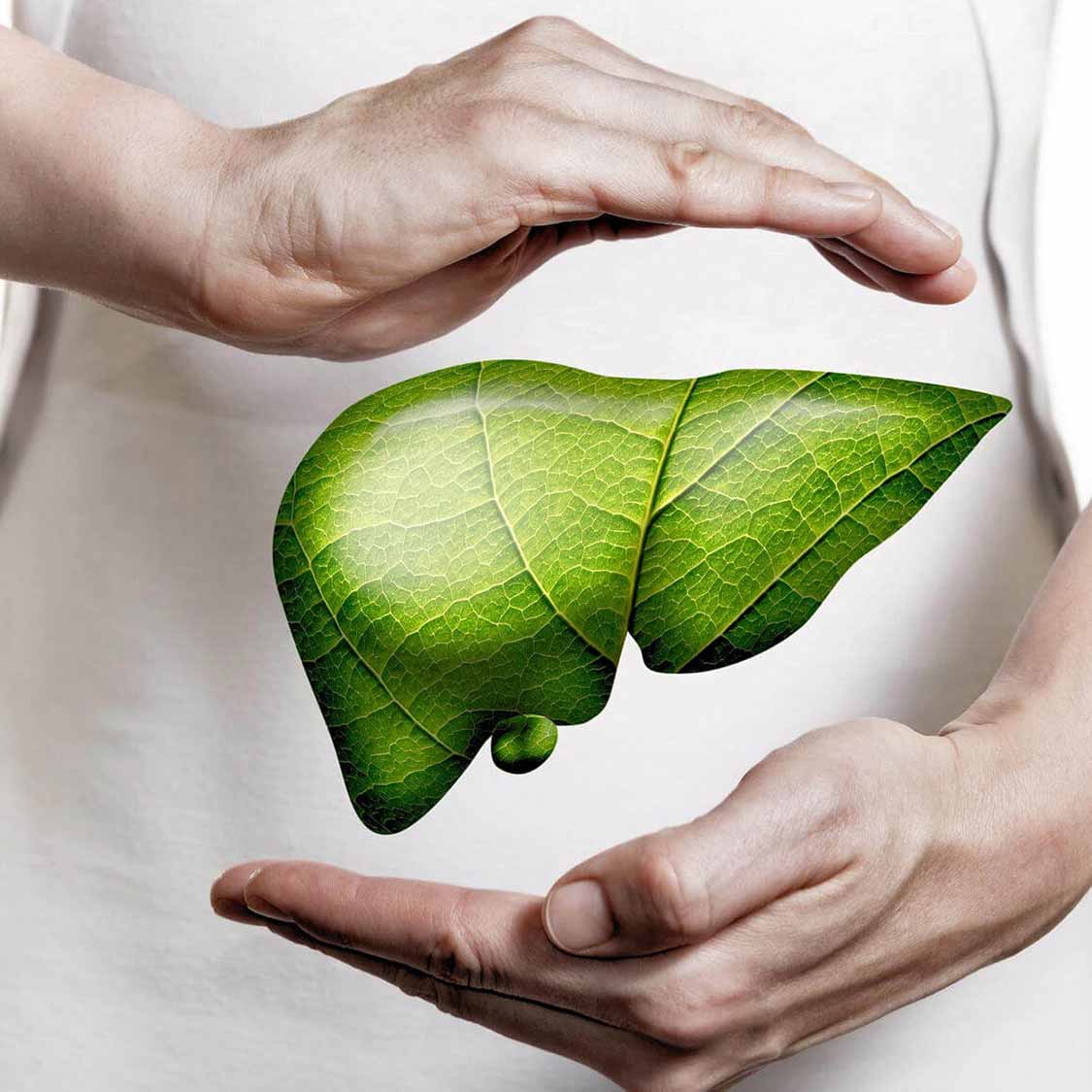 Gras, veillées tardives, goût prononcé, les toxines contre-attaquent discrètement : un signal que le corps a hâte de se nettoyer.